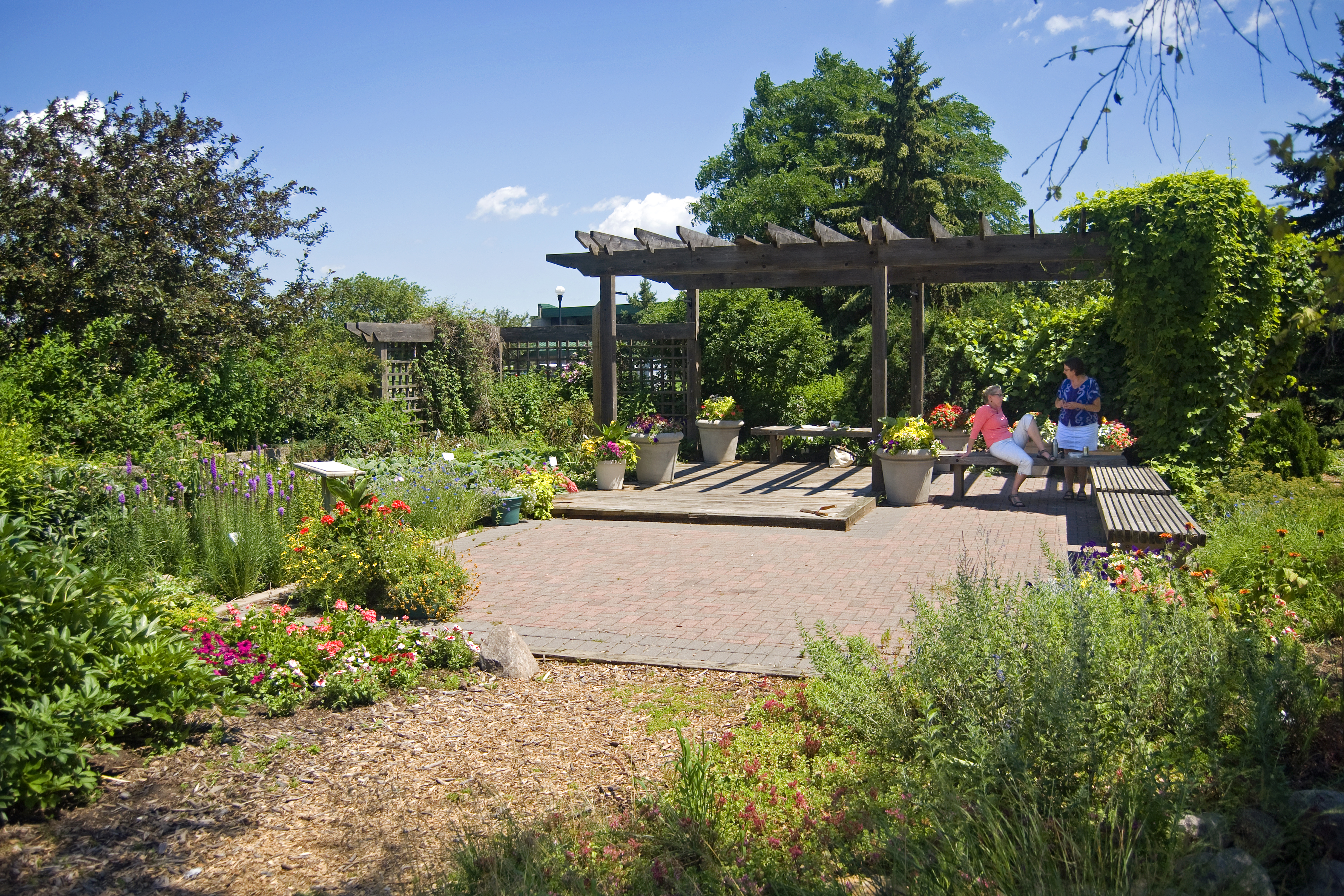 Garden at the Saint Paul Campus