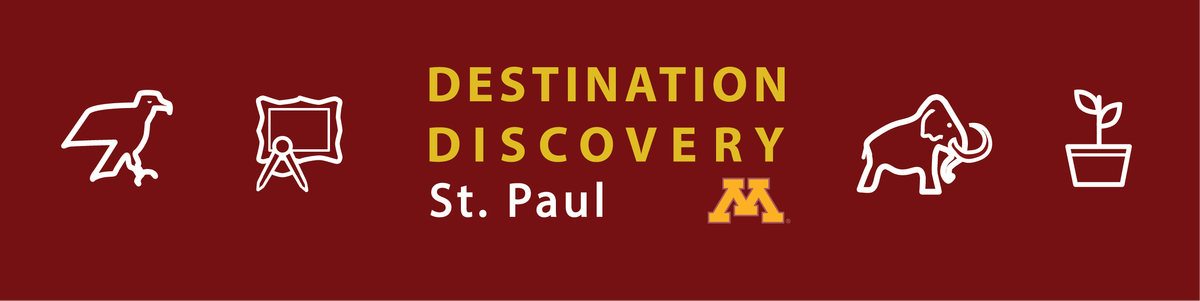 Destination Discovery Logo
